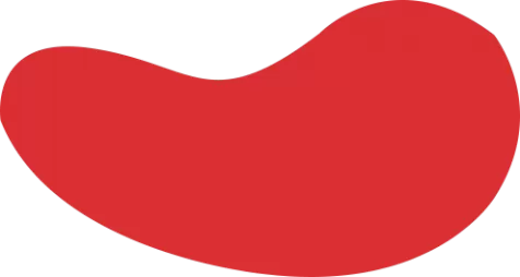 NiceCloud VPN - 专业级加速解决方案 高效稳定
