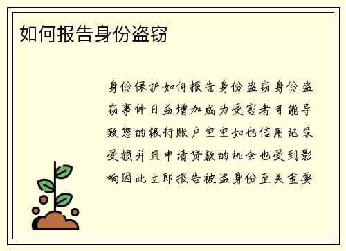 如何报告身份盗窃 