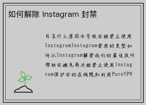 如何解除 Instagram 封禁 