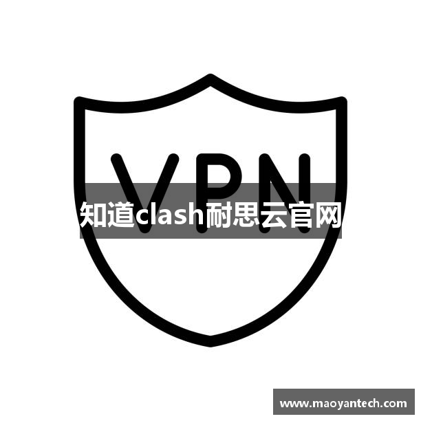 NiceCloud VPN - 专业级加速解决方案 高效稳定